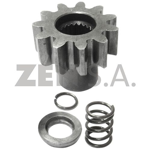 ZEN12954 - PINON M.B